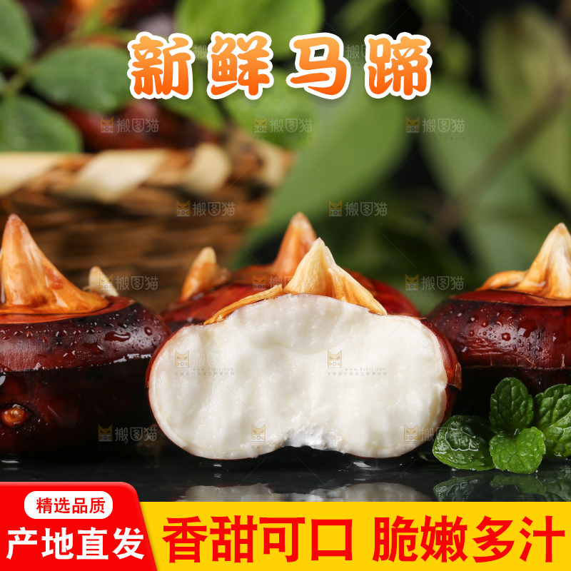 黑石板上的荔浦马蹄