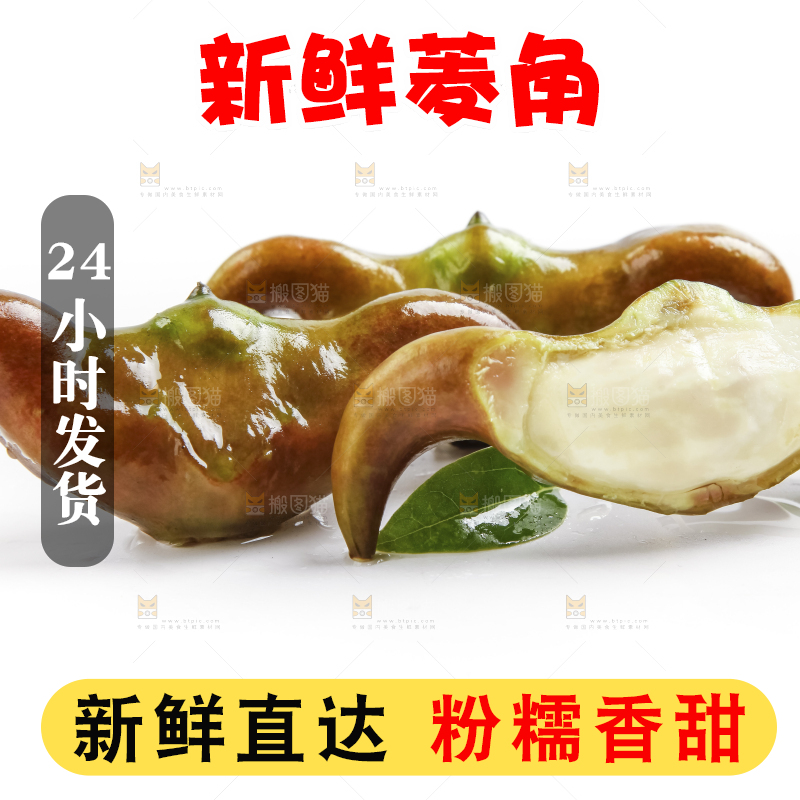 白底上的新鲜菱角