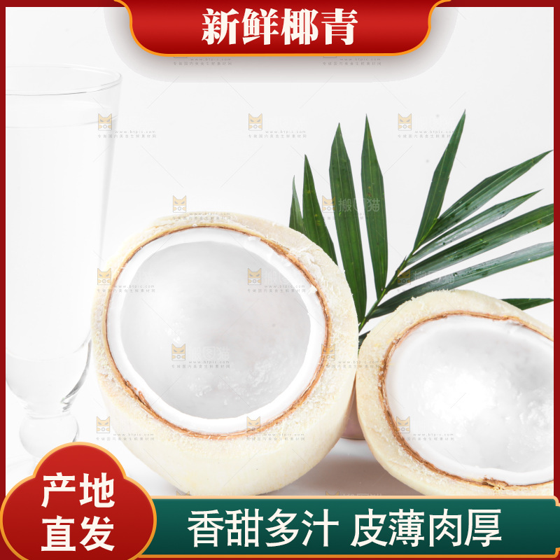浅底上摆放着椰青