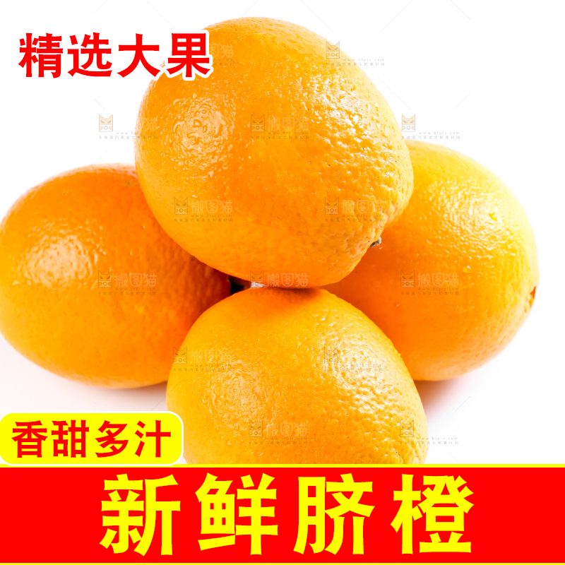 白底上的高山甜橙