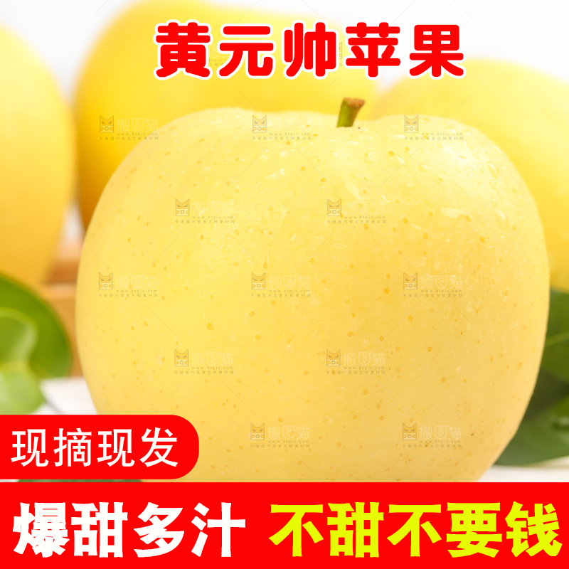 白格子底上的烟台黄金帅