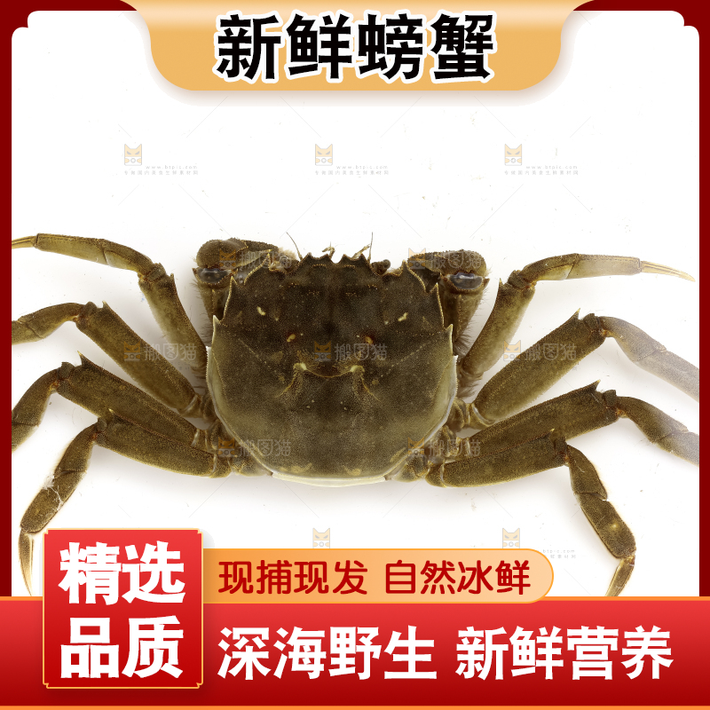 浅底上的螃蟹