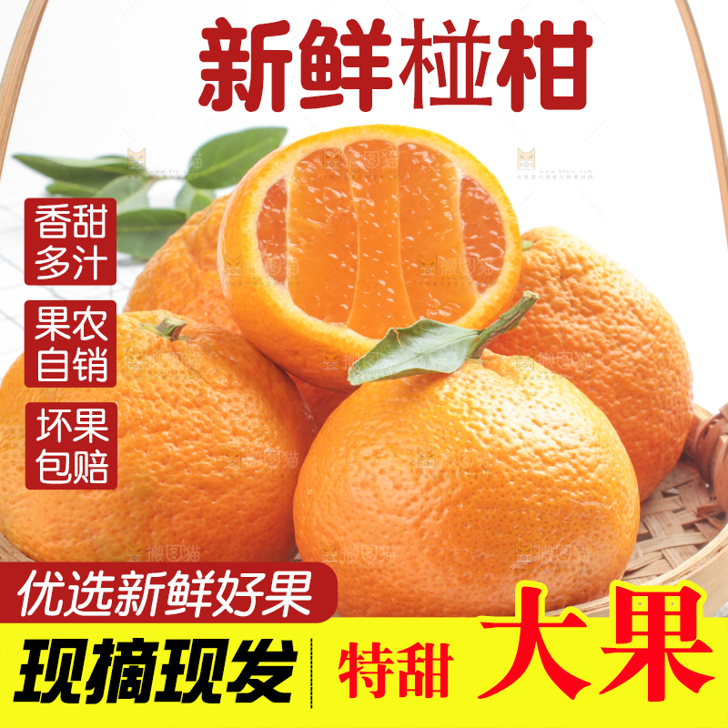 篮子里装着椪柑