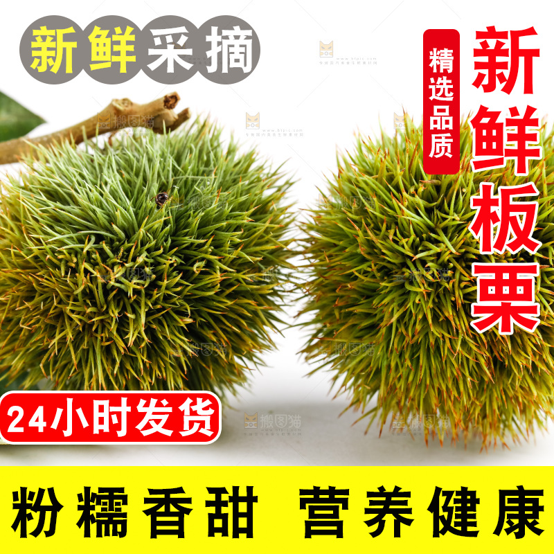 白底上放着生板栗