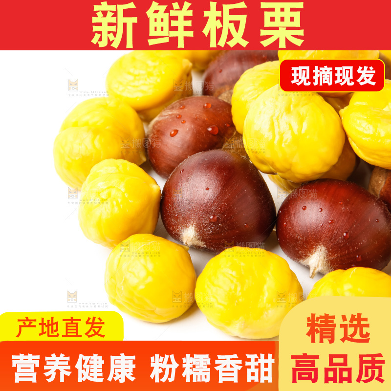 白底上的新鲜栗子
