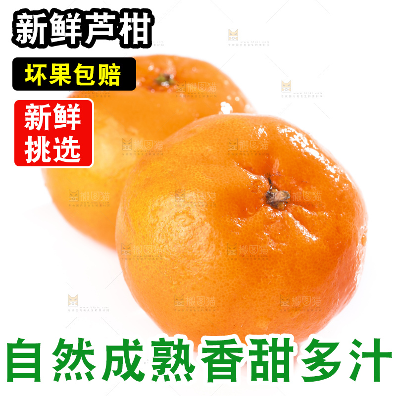 白底上的芦柑
