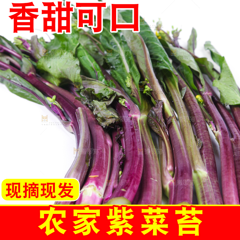 白底上放着紫菜苔