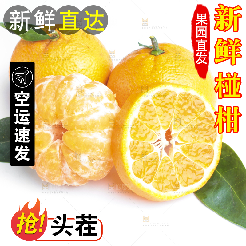白底上的椪柑橘