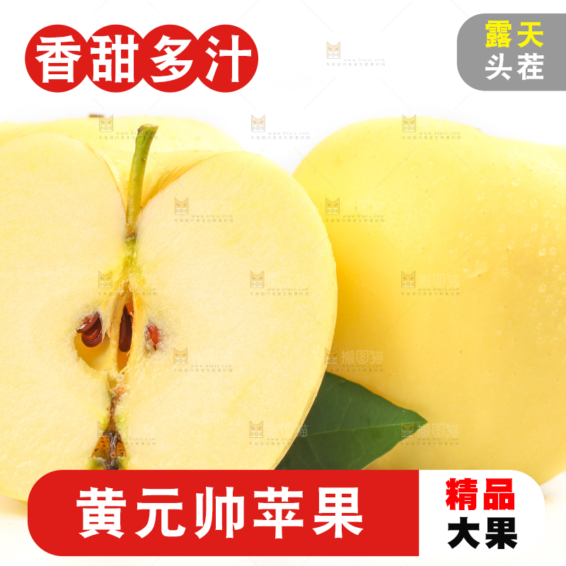 白底上摆放着黄金帅