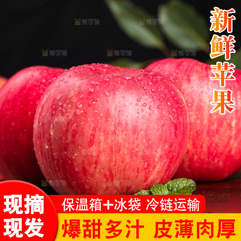木底上摆放着洛川红富士