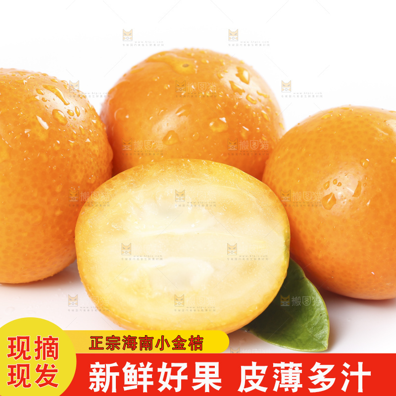 白底上摆放着新鲜金橘