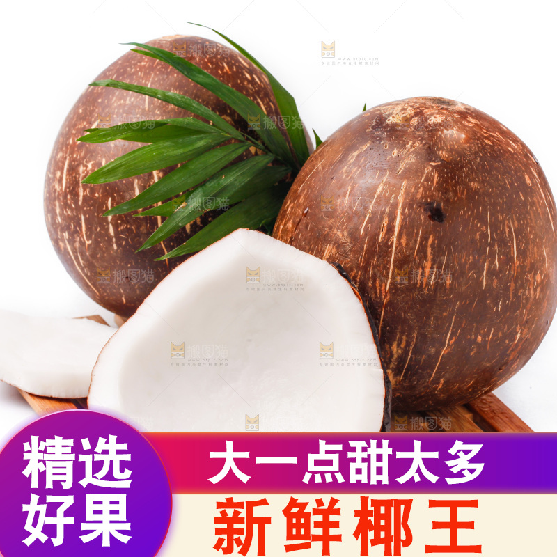 竹垫子上的椰王