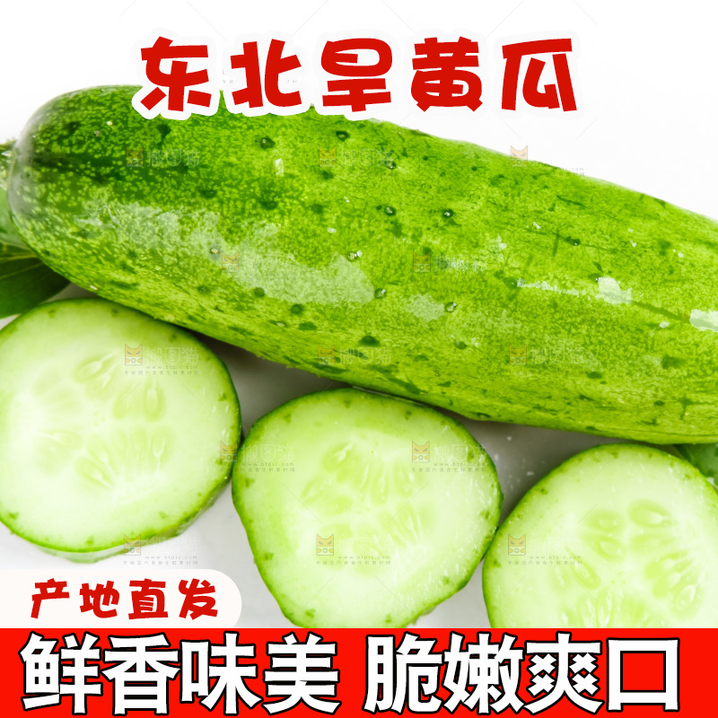 白底上的旱黄瓜