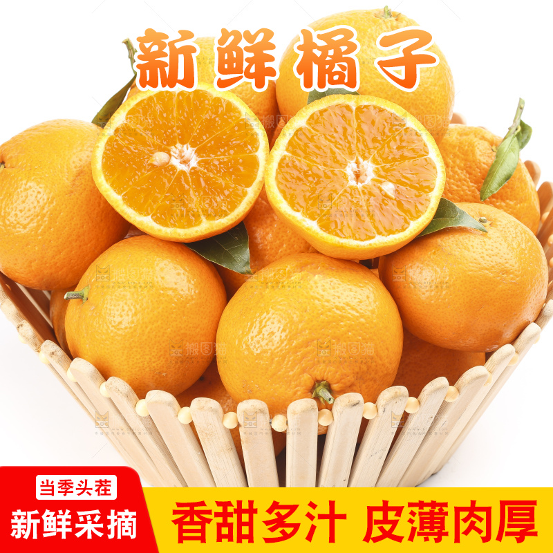 篮子里装着丑橘