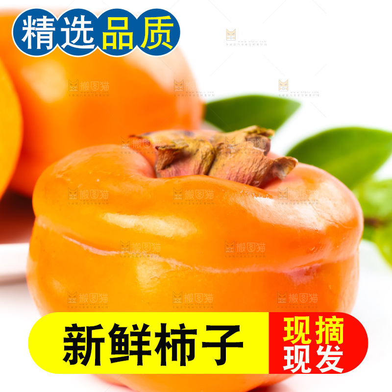 白底上放着磨盘柿