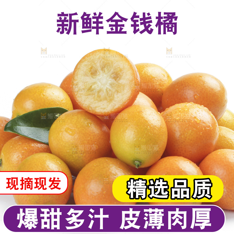 白底上的金钱橘
