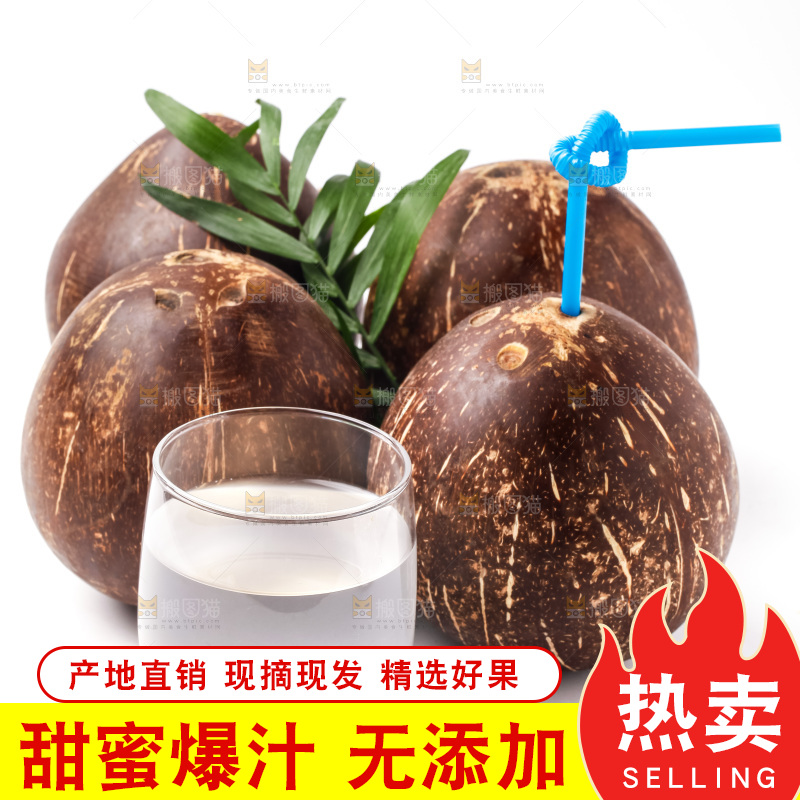 白底上摆放着老椰子