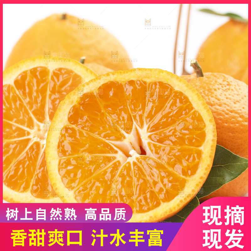 白底上的椪柑橘