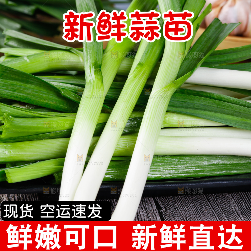 深底上的蒜苗