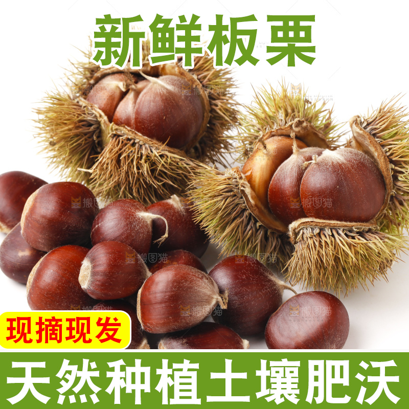 白底上摆放着迁西板栗