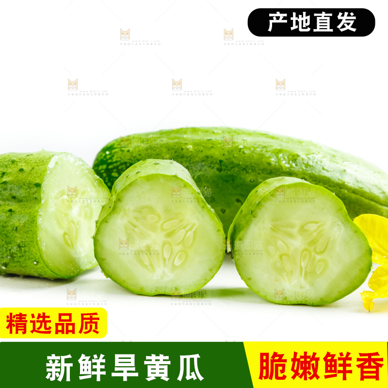 白底上放着新鲜旱黄瓜