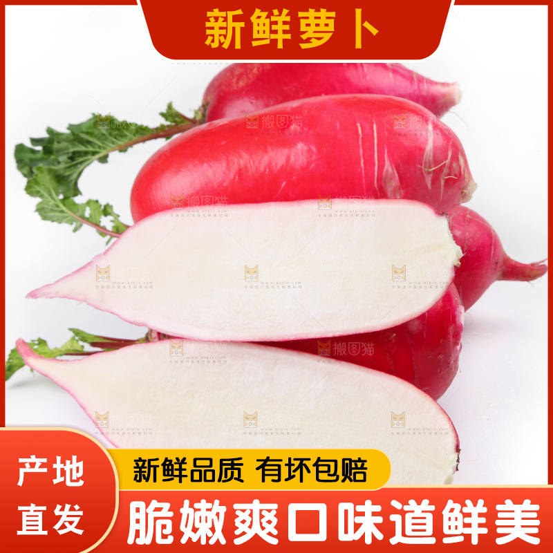 白底上的红萝卜