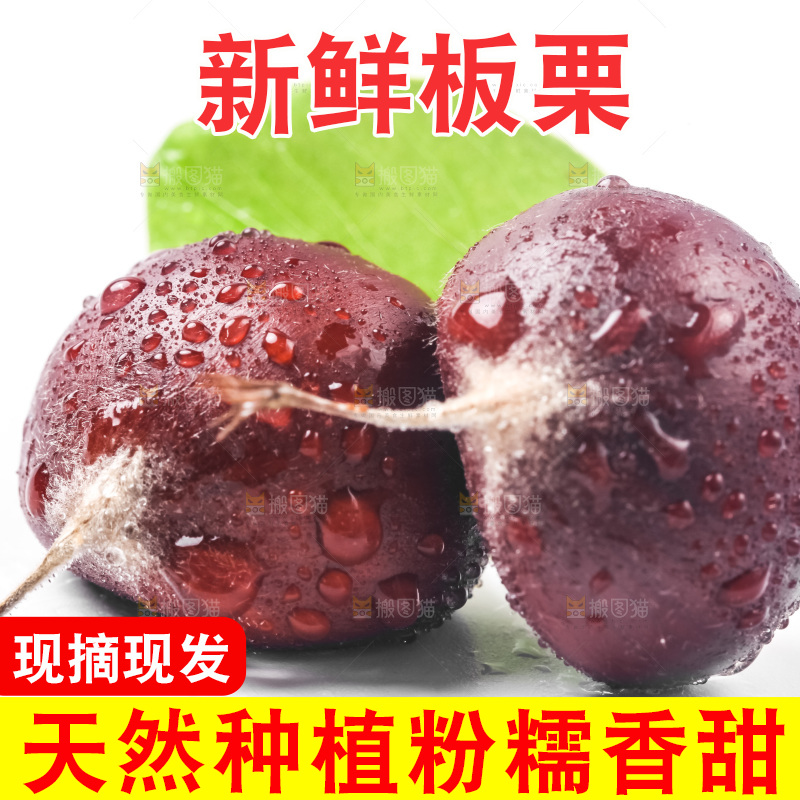 白底上放着迁西板栗