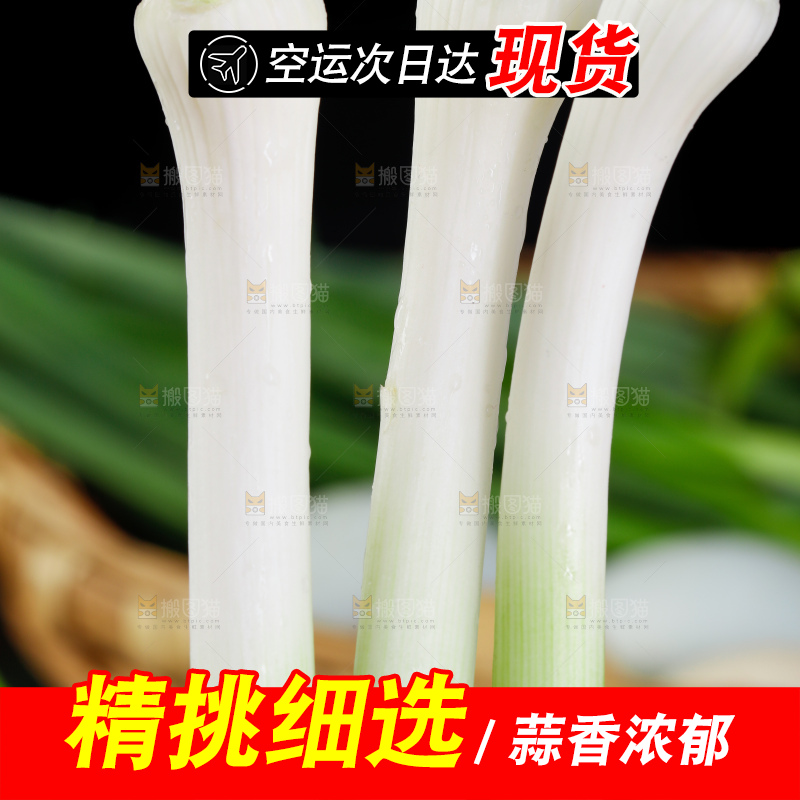 深底上的蒜苗