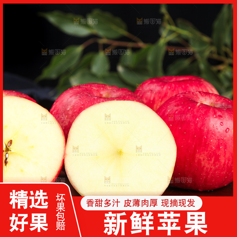 木底上摆放着洛川红富士