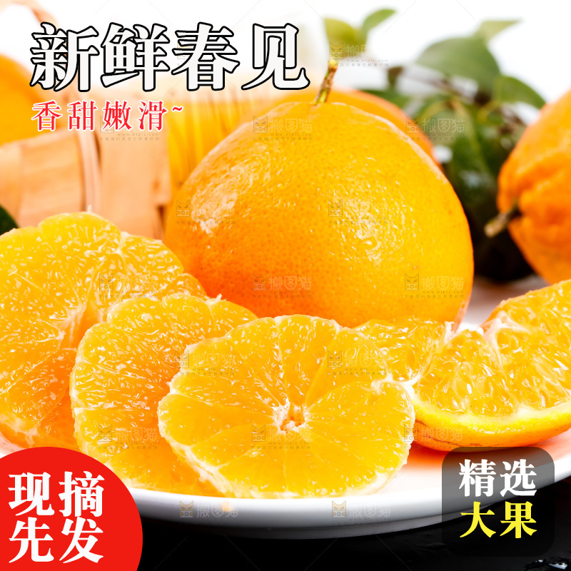 黑石板上的春见耙耙柑