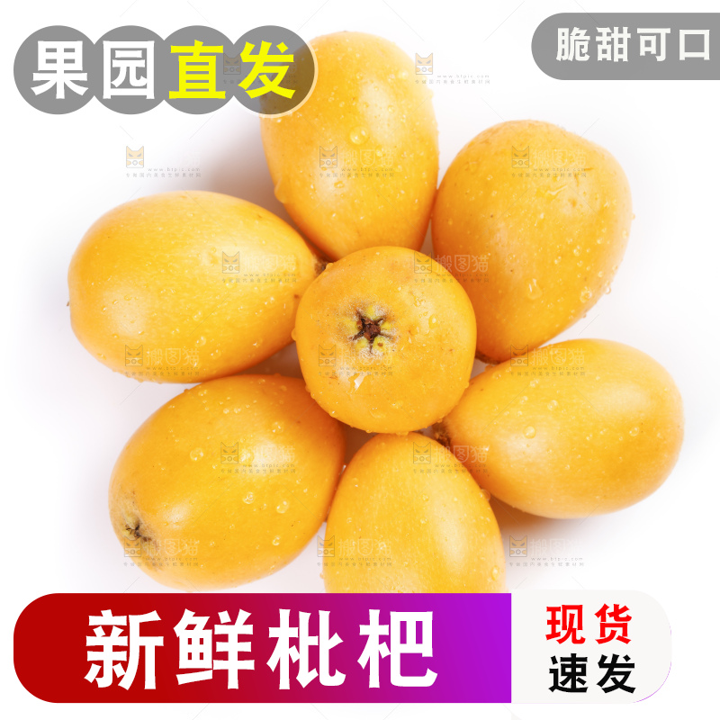 白底上的米易枇杷