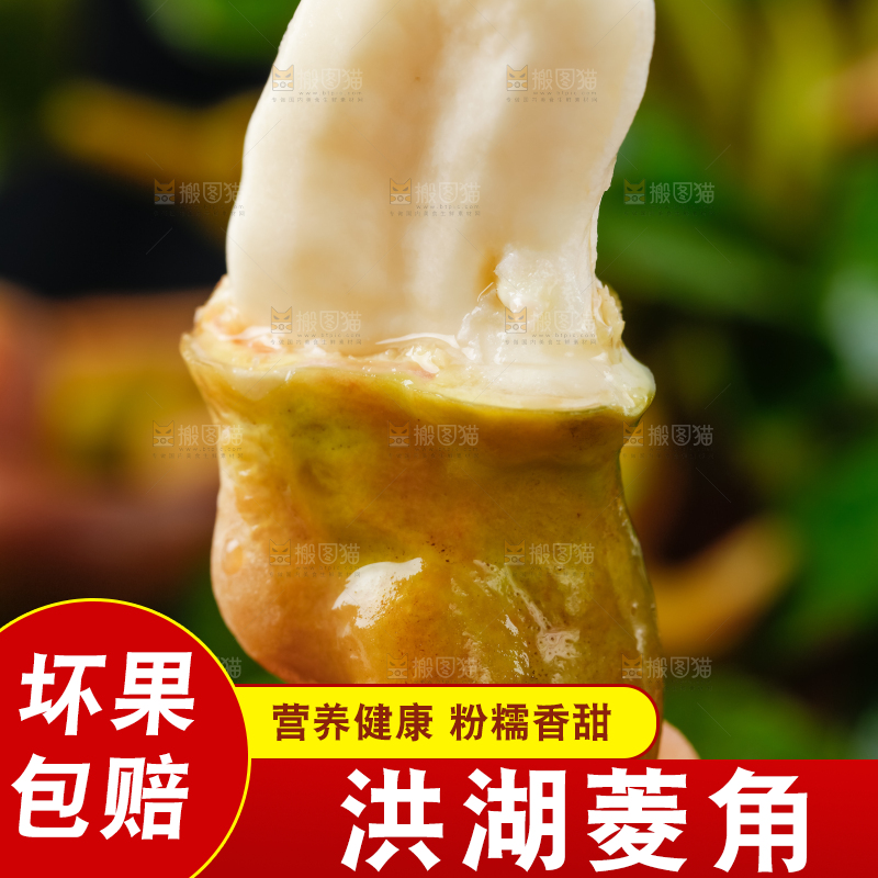 手里拿着新鲜菱角