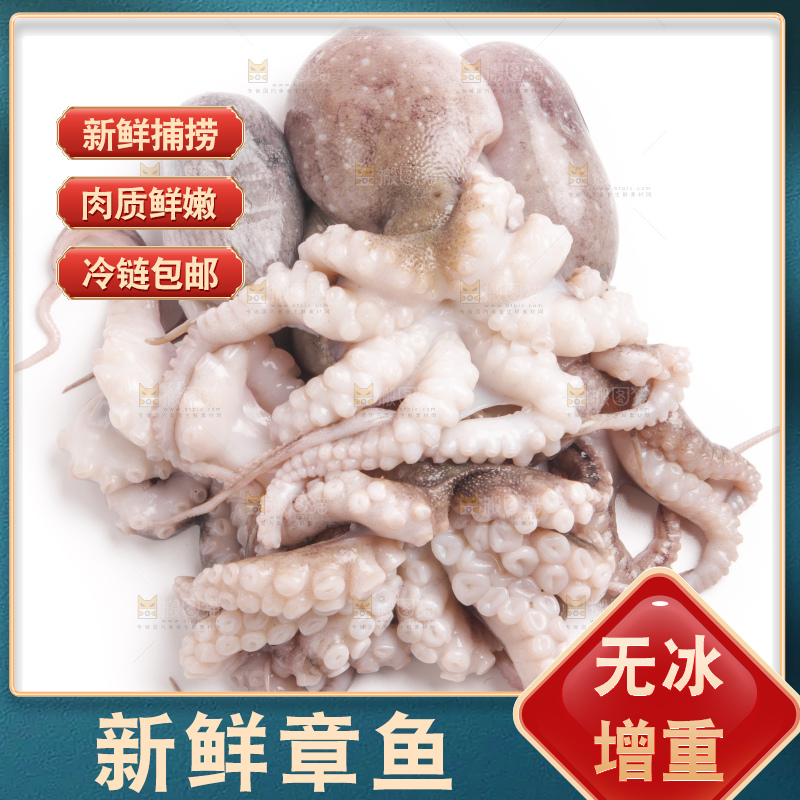 白底上的章鱼