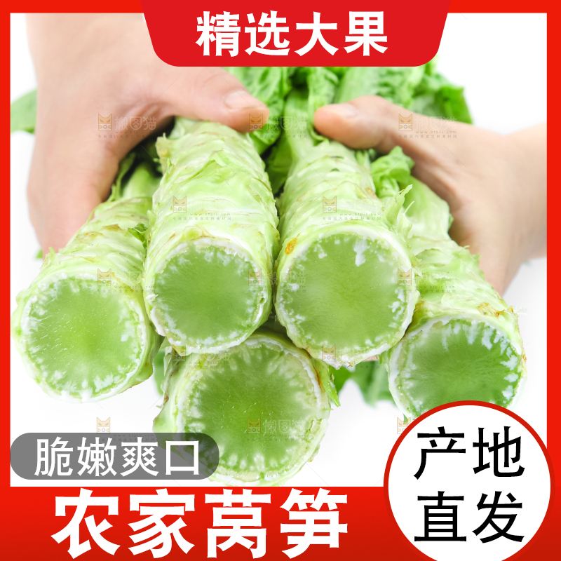 白底上的莴笋