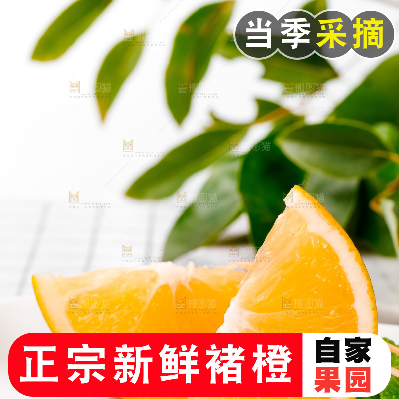 石板上的云南褚橙