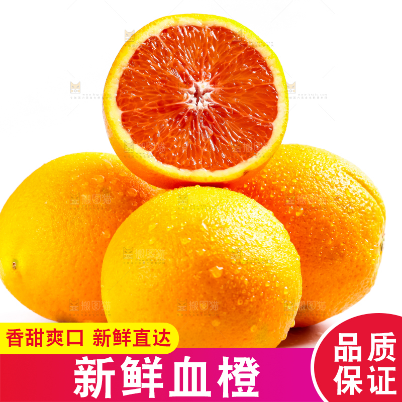 白底上的新鲜橙子