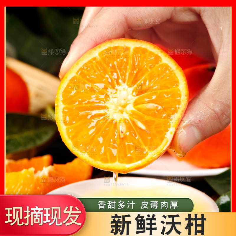 手里拿着新鲜沃柑