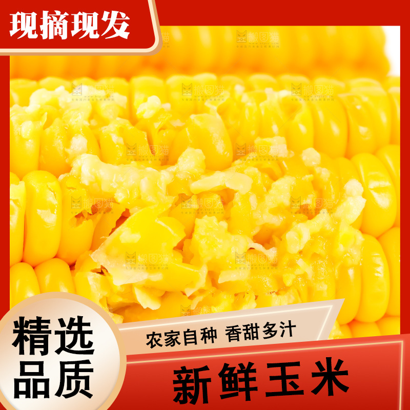 白底上放着黄玉米