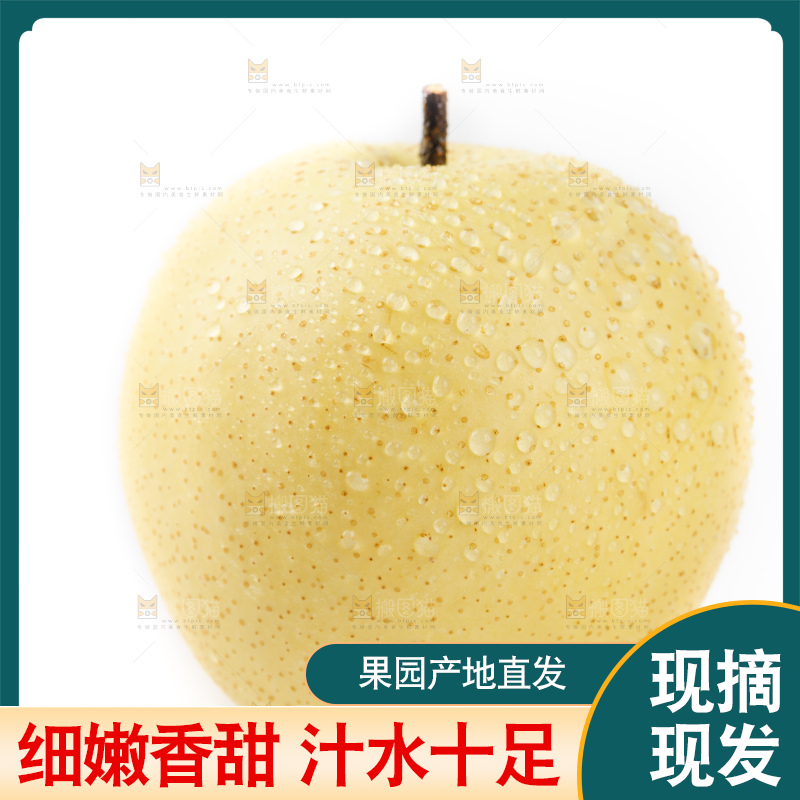 白底上的冰糖梨