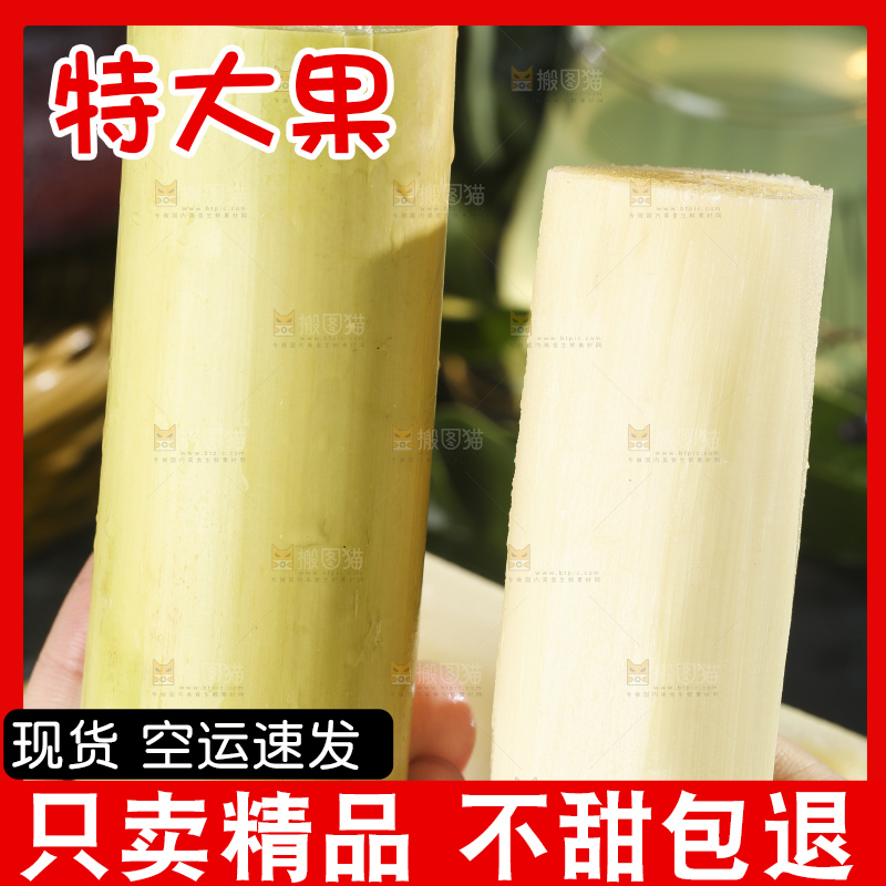 手里拿着白玉甘蔗