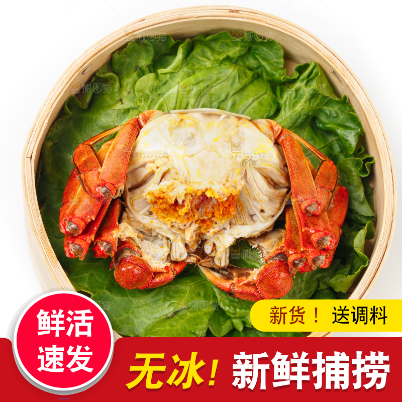 白底上的大闸蟹