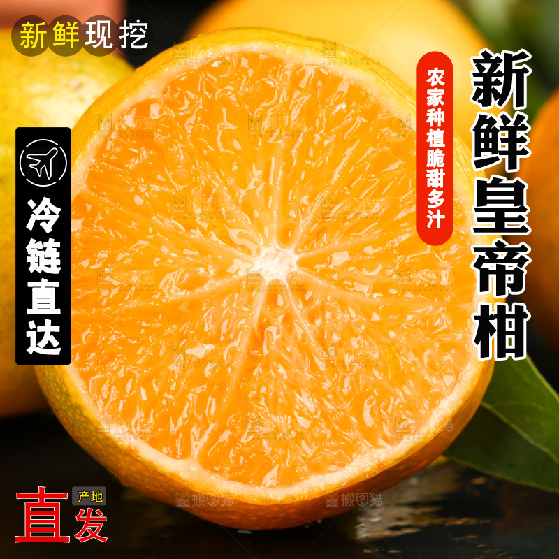 黑底上切开的武鸣皇帝柑