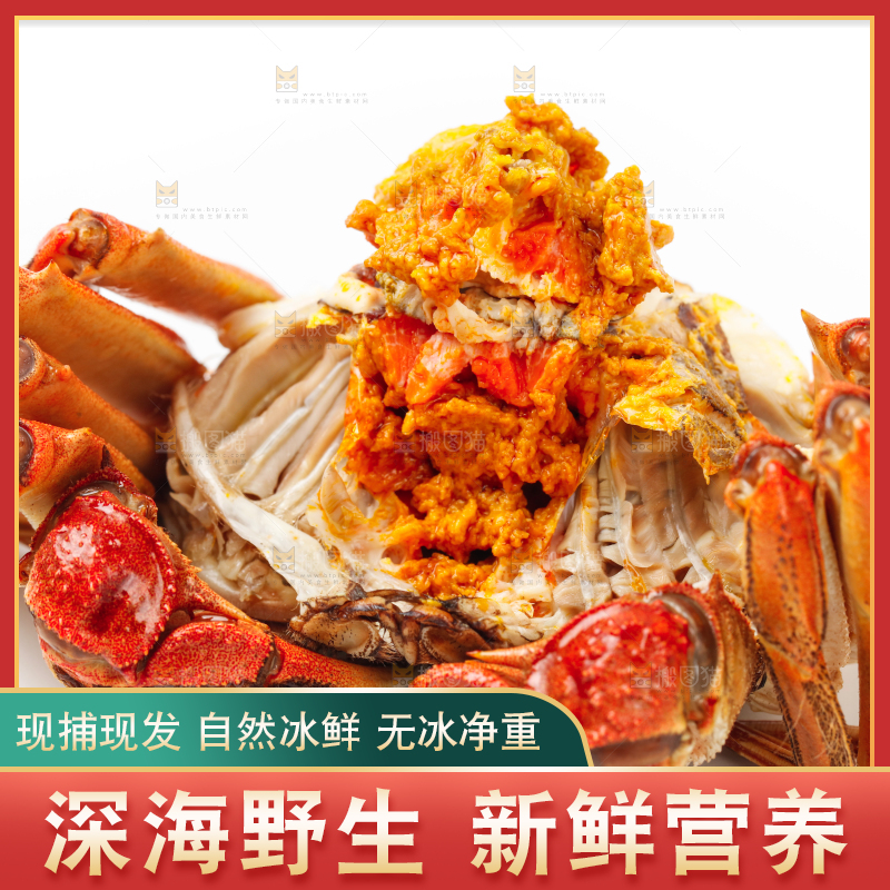 白底上的大闸蟹