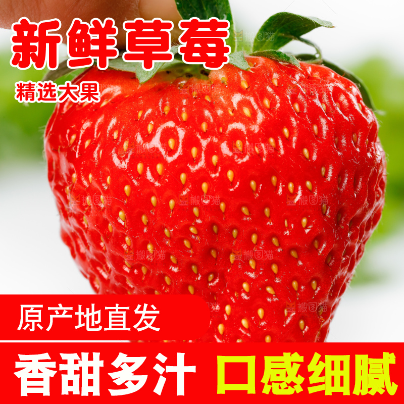 白底上一个大草莓