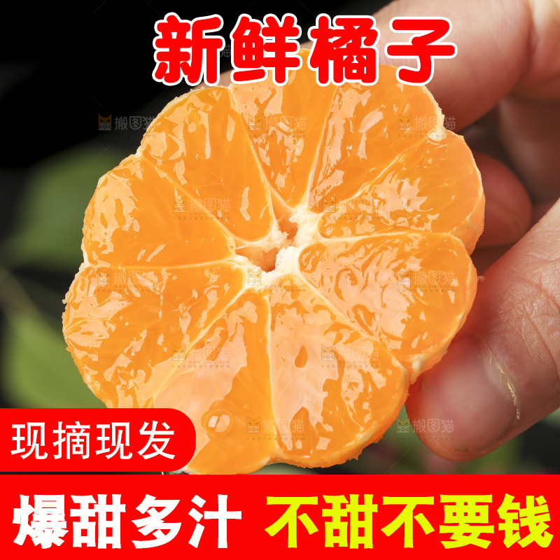 手里拿着新鲜椪柑