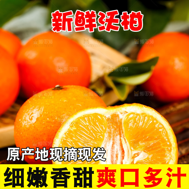 竹底上的四川沃柑