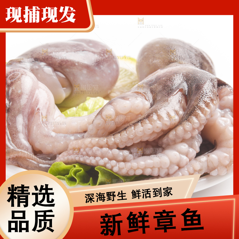 盘子里的大连章鱼
