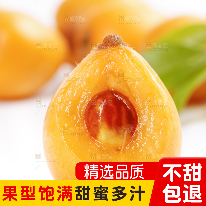 白底上的米易枇杷