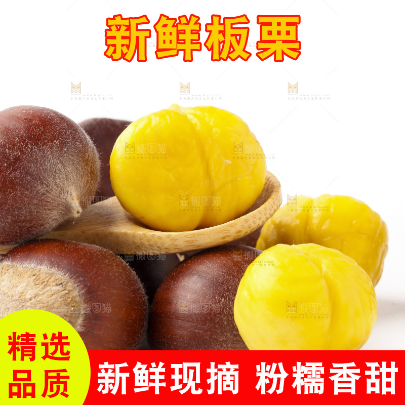 浅底上的迁西板栗