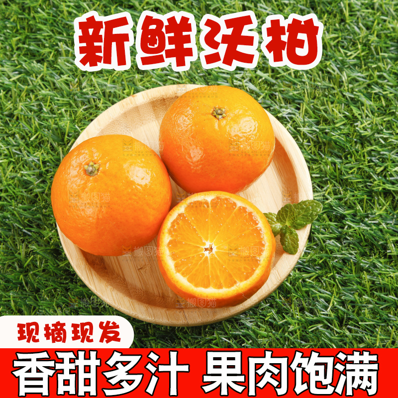 草地上放着贵妃柑